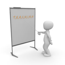 Kaiyun APP-体育教学对学生时间管理能力的促进研究，体育教育对学生关键能力的培养