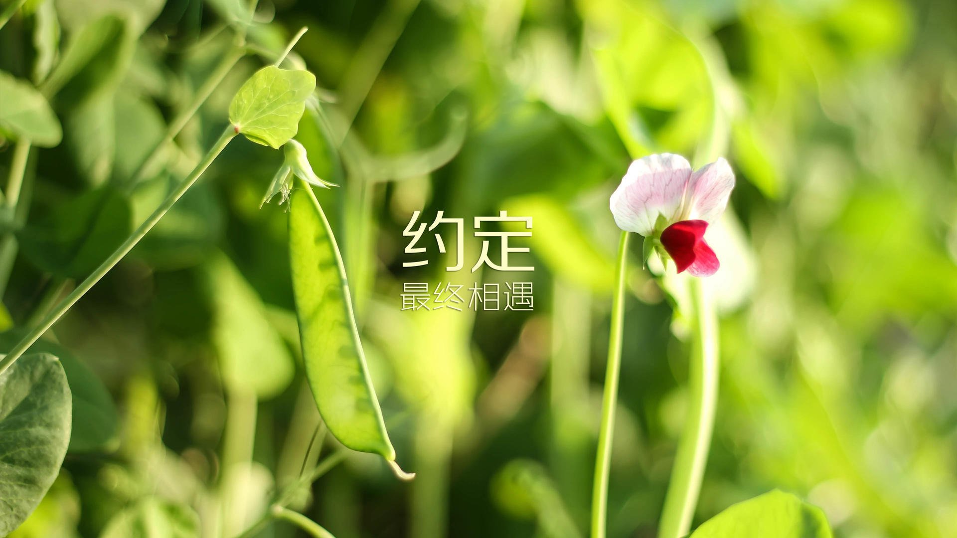 控球球队是否更易在下半场遭遇反击破门，控球厉害
