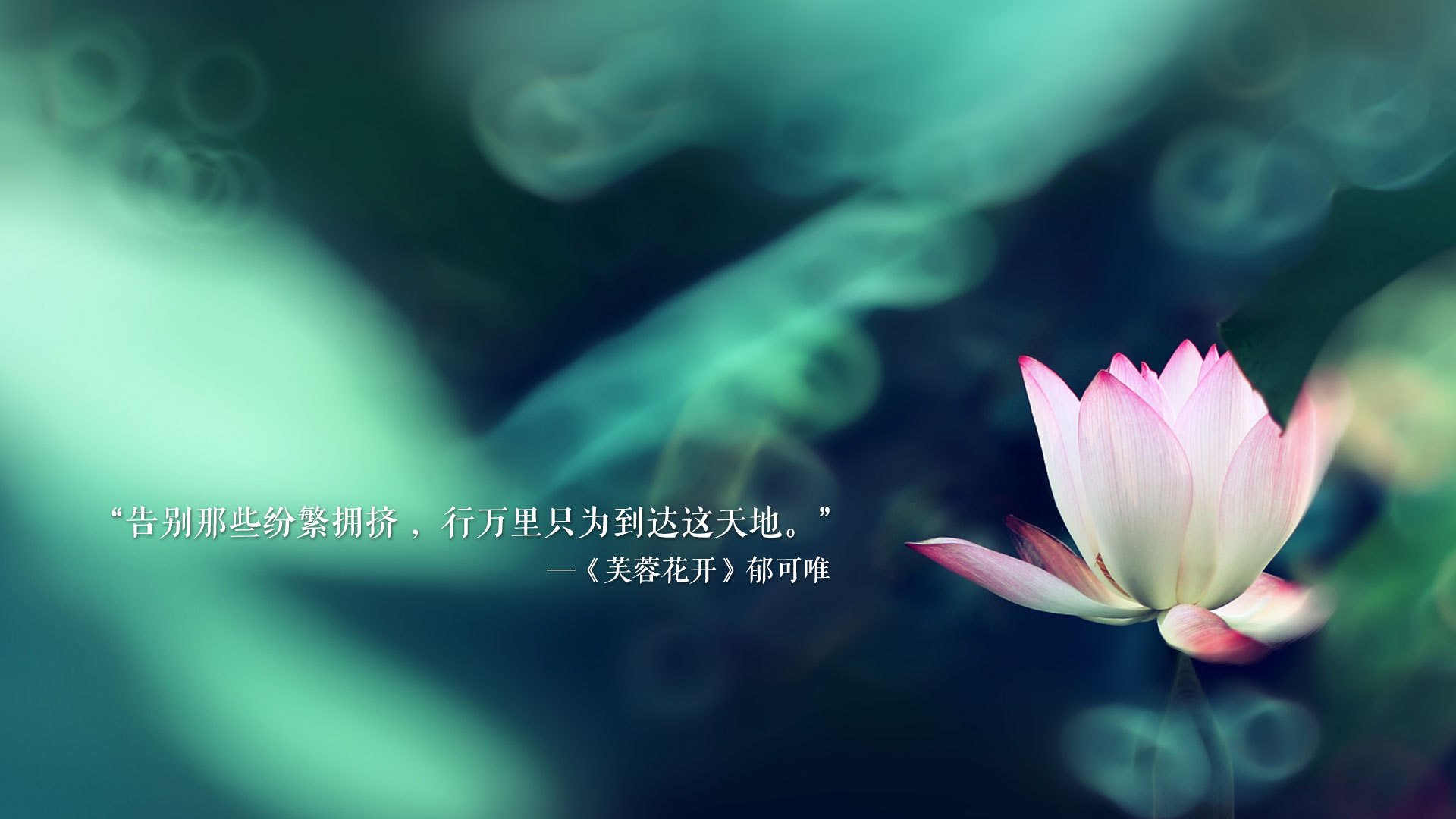 球员数据化管理推动科学训练升级，球员数据分析